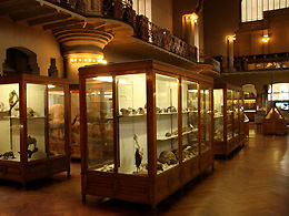 Museu de Ciències Naturals de Barcelona